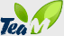 Logo 11 2